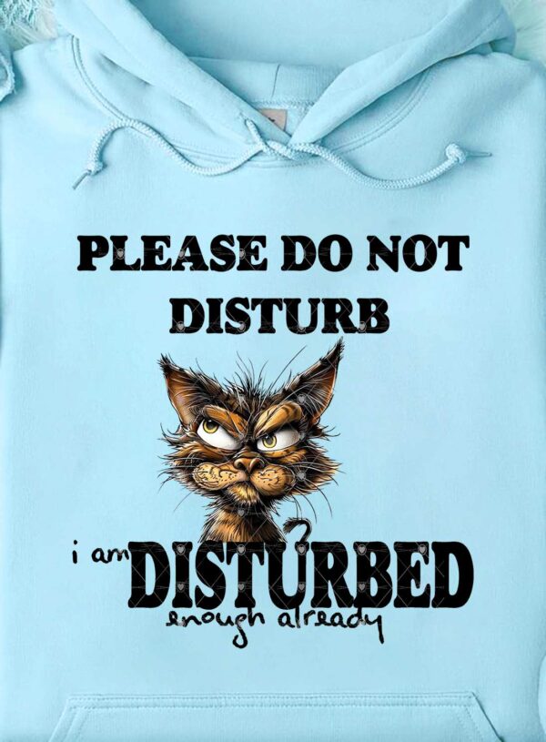 PLEASE DO NOT DISTURB